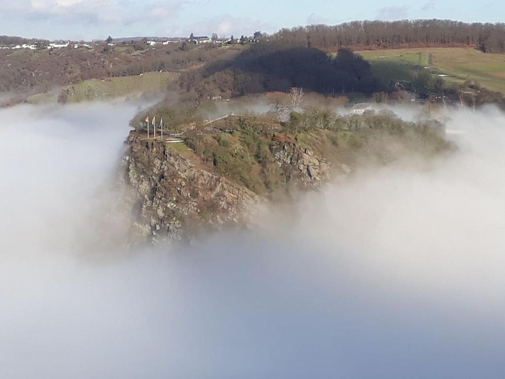 Ferienwohnung 554 - Urbar, Vis-A-Vis Der Loreley Urbar  Bagian luar foto
