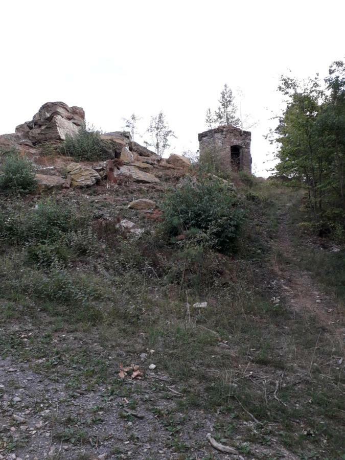 Ferienwohnung 554 - Urbar, Vis-A-Vis Der Loreley Urbar  Bagian luar foto