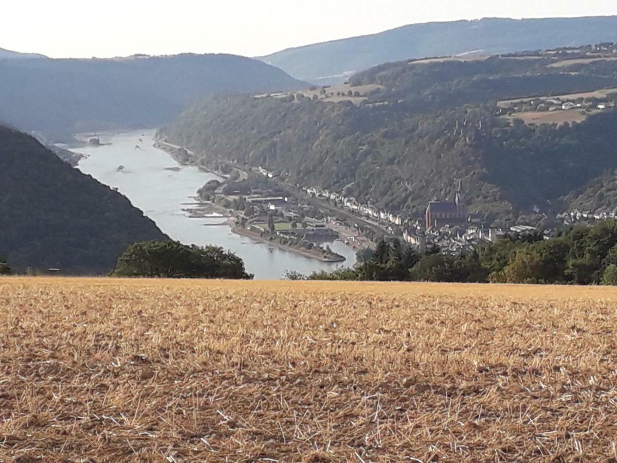 Ferienwohnung 554 - Urbar, Vis-A-Vis Der Loreley Urbar  Bagian luar foto